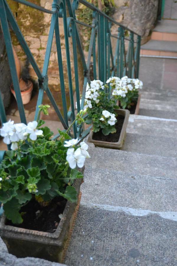 My Home Sorrent Exterior foto